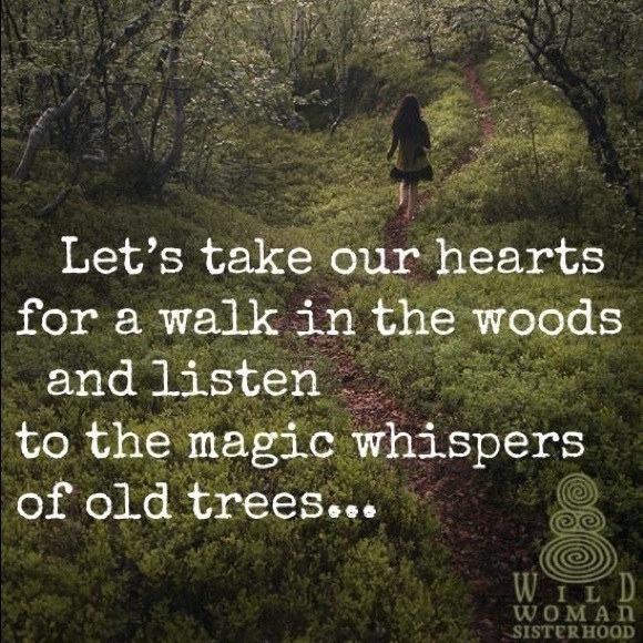 Meet your Posher, Ann - Picture 12 of 15